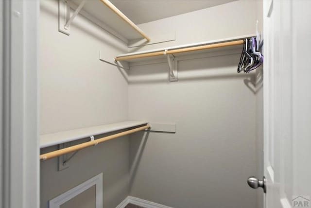 view of walk in closet