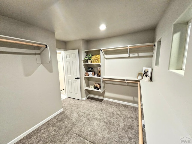 1539 N Rigby Ln, Pueblo West, CO 81007 - photo 20