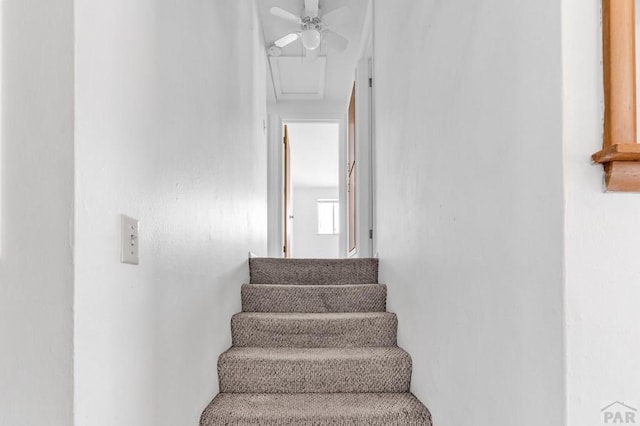 stairs with ceiling fan