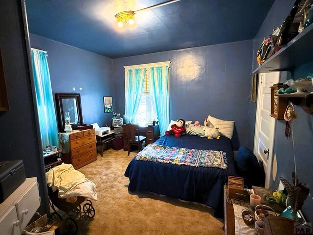 109 N Catalpa, Manzanola, CO 81058 - photo 23