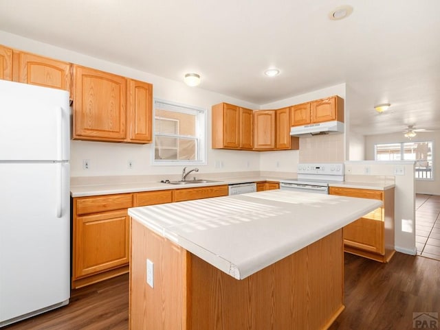 4400 Rawhide Rd Unit 132, Pueblo, CO 81008 - kitchen with a sink, white appliances, light countertops, dark wood finished floors, and under cabinet range hood