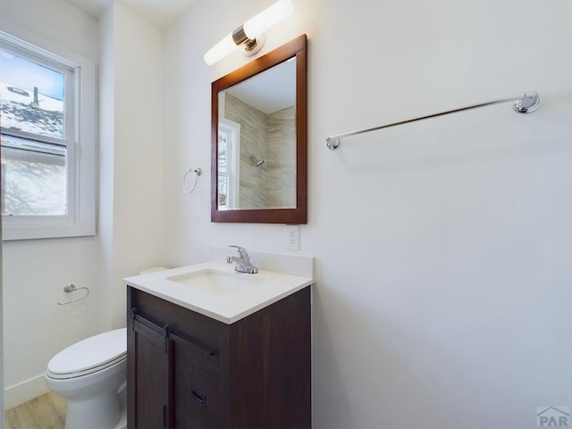 bathroom with toilet and vanity