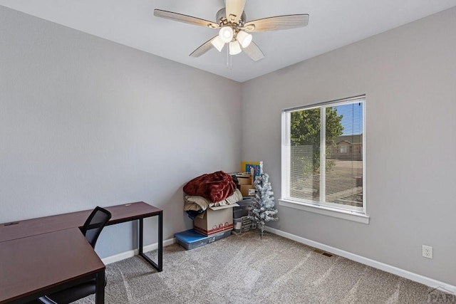 830 S Blakeland Dr, Pueblo West, CO 81007 - photo 14