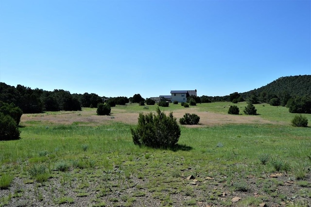205 Hoofprint Ct, Walsenburg, CO 81089 - view of yard featuring a rural view