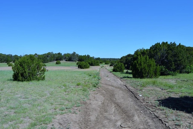 205 Hoofprint Ct, Walsenburg, CO 81089 - view of road featuring a rural view