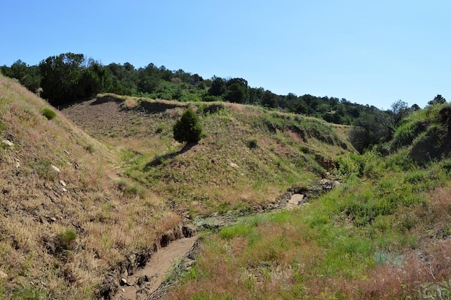 205 Hoofprint Ct, Walsenburg, CO 81089 - view of undeveloped land