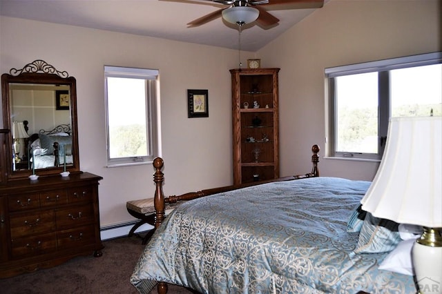 205 Hoofprint Ct, Walsenburg, CO 81089 - bedroom with carpet, baseboard heating, multiple windows, and lofted ceiling