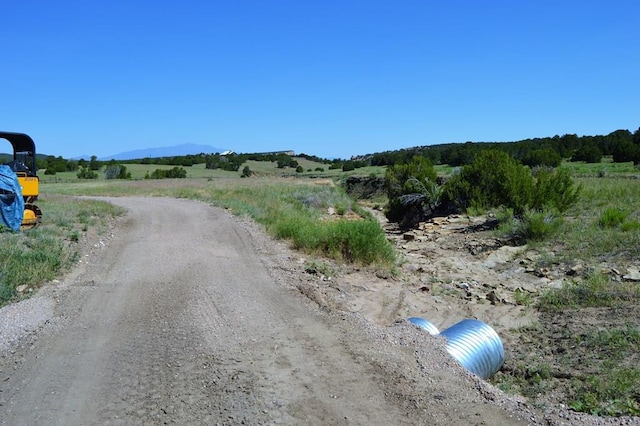 205 Hoofprint Ct, Walsenburg, CO 81089 - view of street