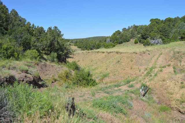 205 Hoofprint Ct, Walsenburg, CO 81089 - view of local wilderness