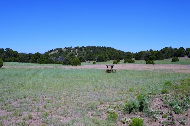 205 Hoofprint Ct, Walsenburg, CO 81089 - view of yard with a view of countryside