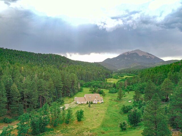 property view of mountains with a forest view