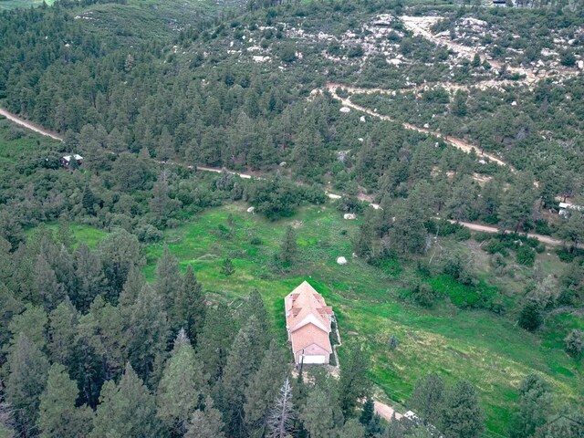 drone / aerial view featuring a view of trees