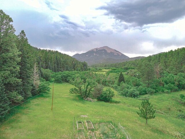 property view of mountains with a forest view