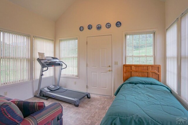 bedroom featuring lofted ceiling, multiple windows, and light carpet