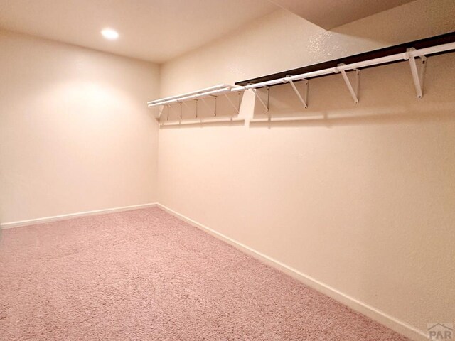 spacious closet featuring carpet floors