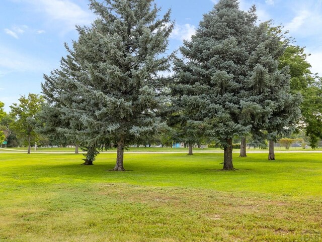 417 Park Dr, Pueblo, CO 81005 - view of grassy yard