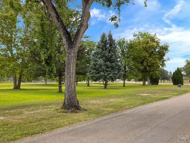 417 Park Dr, Pueblo, CO 81005 - surrounding community featuring a yard