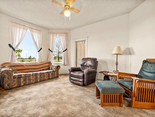2229 59th Ln, Boone, CO 81025 - photo 4