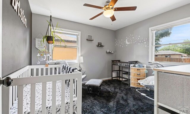 1305 Constitution Rd, Pueblo, CO 81001 - photo 16