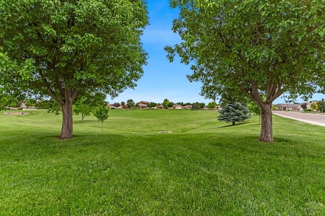 5048 Sage St, Pueblo, CO 81005 - photo 33