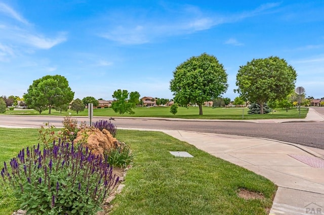 5048 Sage St, Pueblo, CO 81005 - view of green lawn