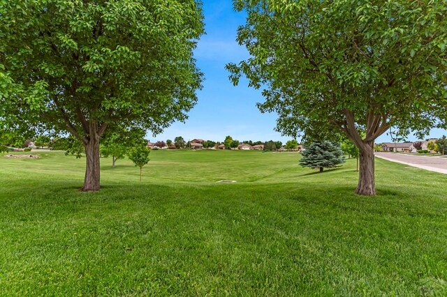 5048 Sage St, Pueblo, CO 81005 - view of grassy yard with view of golf course