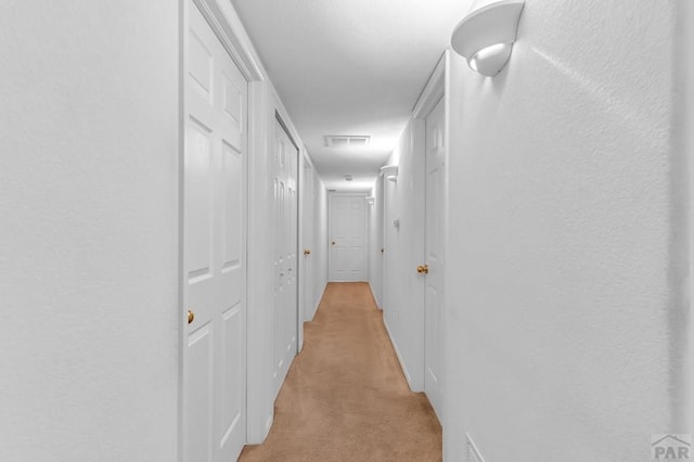 5048 Sage St, Pueblo, CO 81005 - hallway featuring light colored carpet and baseboards