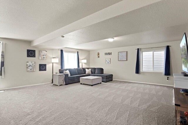 3523 Possum, Pueblo, CO 81005 - photo 31