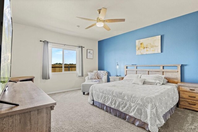 3523 Possum, Pueblo, CO 81005 - photo 19