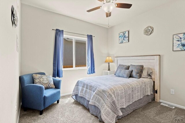 3523 Possum, Pueblo, CO 81005 - photo 25