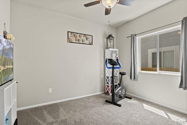 3523 Possum, Pueblo, CO 81005 - photo 28