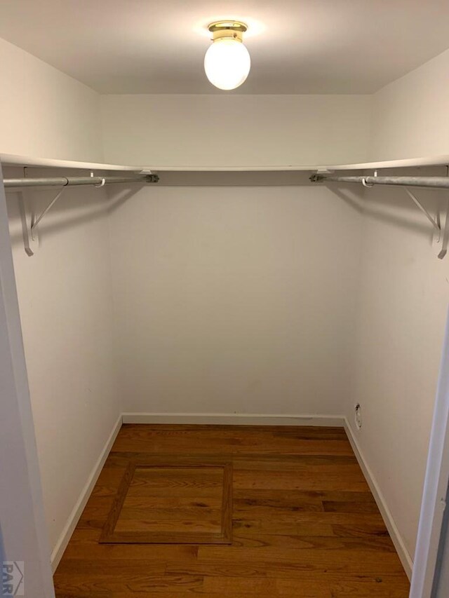 walk in closet with dark wood finished floors