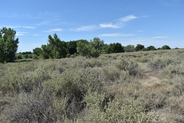 26500 County Rd 23, Rocky Ford, CO 81067 - photo 24