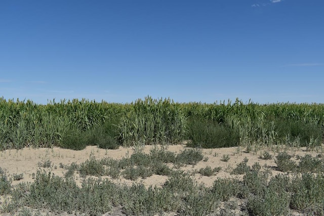 26500 County Rd 23, Rocky Ford, CO 81067 - photo 7