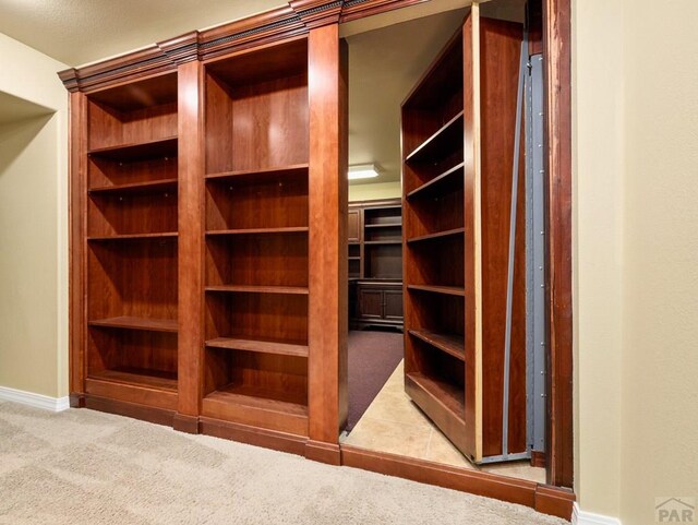 1705 Aquila Dr, Pueblo, CO 81008 - view of closet