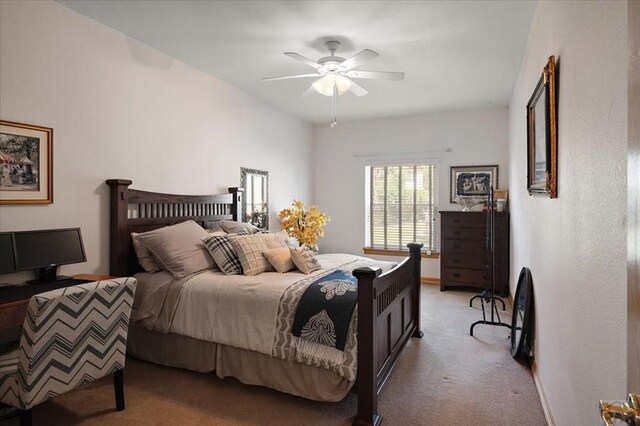 3 St Andrews Ct, Pueblo, CO 81001 - photo 27