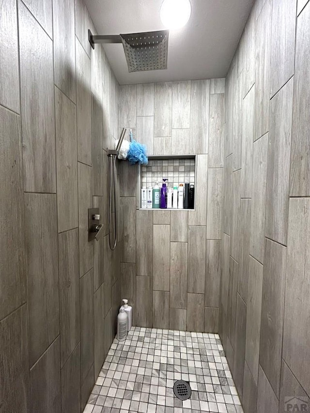 74 James Ave, Westcliffe, CO 81252 - bathroom featuring tiled shower
