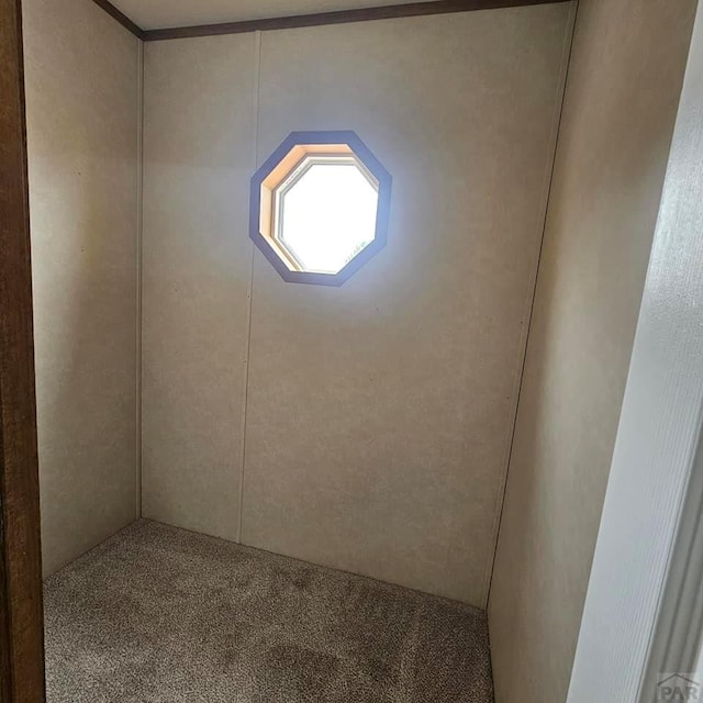 6464 Dillon Dr Unit 3, Pueblo, CO 81008 - photo 21