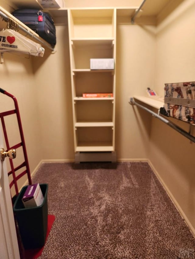 spacious closet with carpet flooring