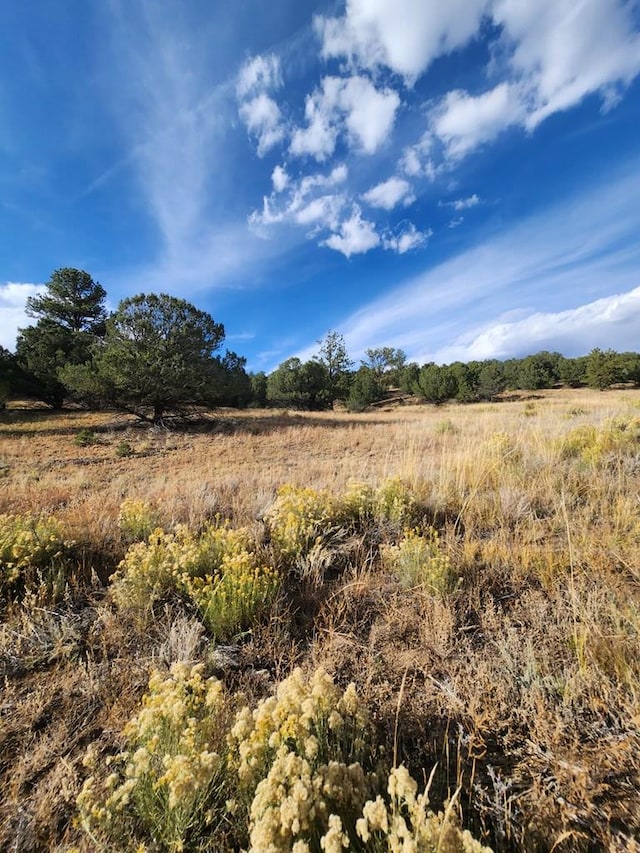 view of nature with a rural view