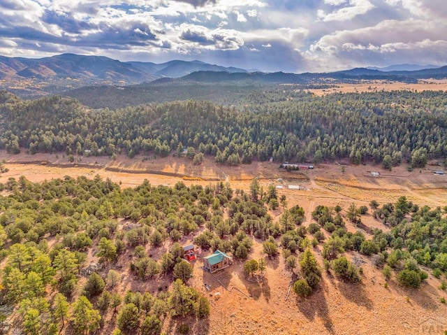 birds eye view of property with a forest view and a mountain view