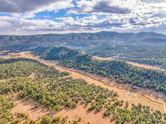 birds eye view of property with a mountain view