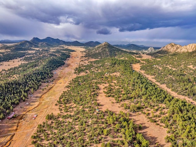 aerial view with a mountain view