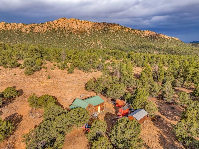 drone / aerial view with a wooded view and a mountain view