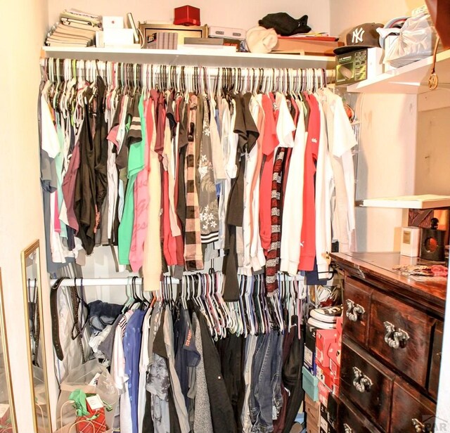 view of closet