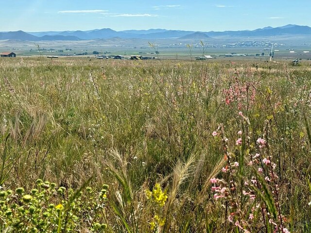 5151 County Rd 160, Westcliffe, CO 81252 - photo 8