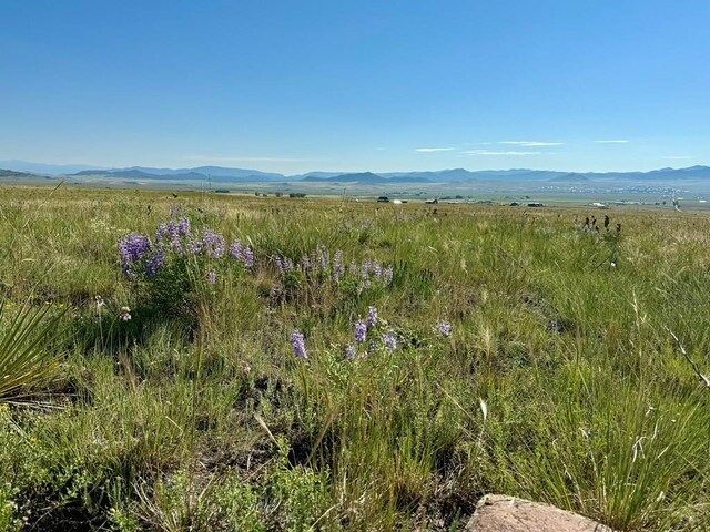 5151 County Rd 160, Westcliffe, CO 81252 - photo 11