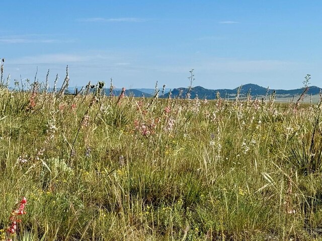 5151 County Rd 160, Westcliffe, CO 81252 - photo 15