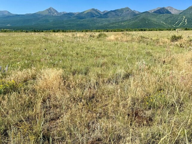 5151 County Rd 160, Westcliffe, CO 81252 - photo 14