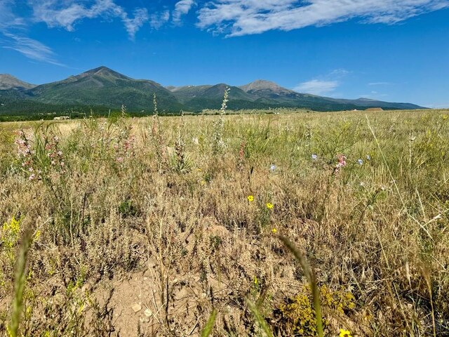 5151 County Rd 160, Westcliffe, CO 81252 - photo 7